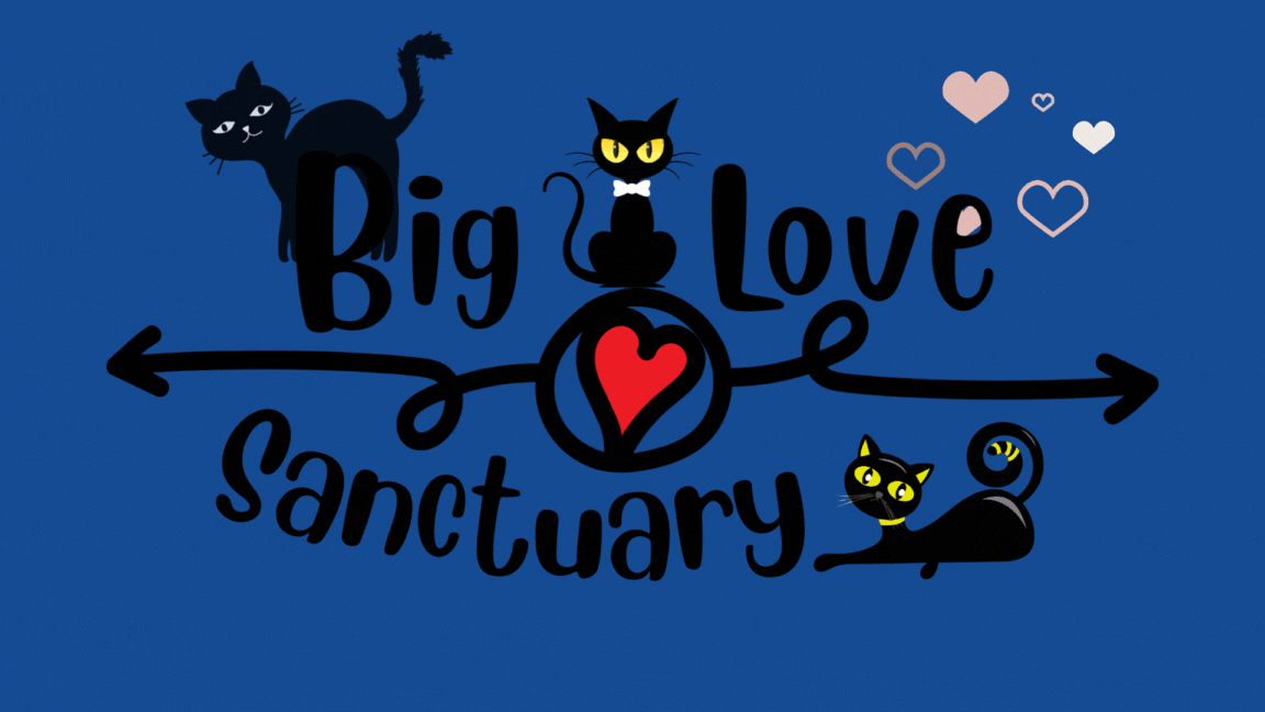 Big Love Wildlife Sanctuary